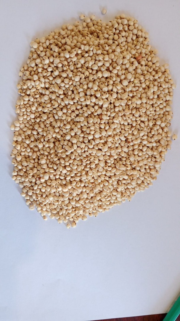 Selling white sorghum