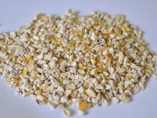 We offer corn sprouts. We import goods from Ukraine.