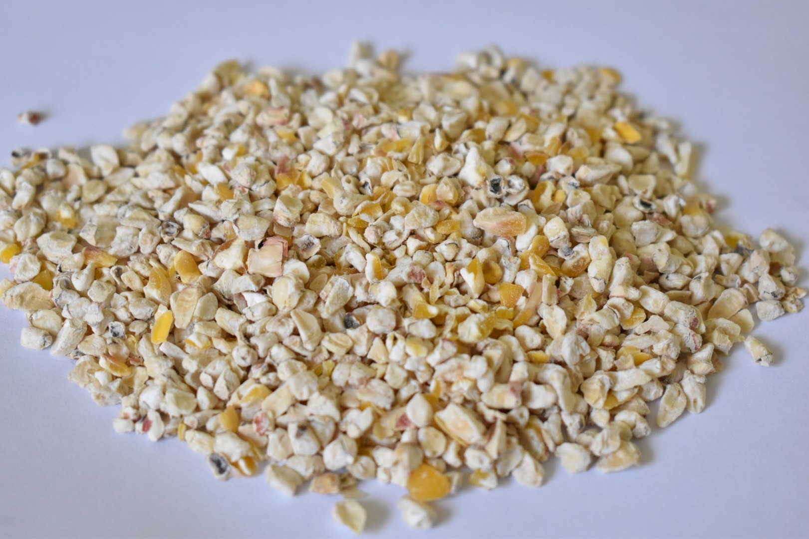 We offer corn sprouts