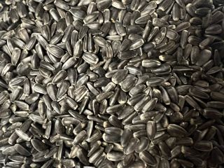 Hungarian sunflower seed with bio, biosuisse, demeter qualification is
