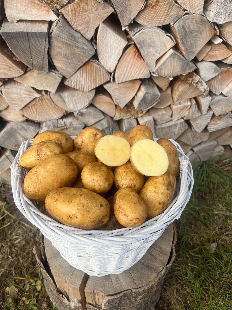 Potatoes for sale
