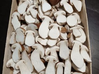 Fresh boletus (boletus edulis). 1st, 2nd and 3rd class.