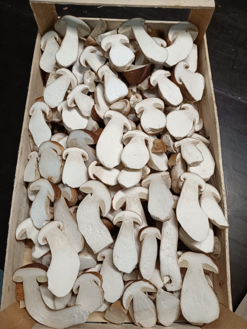 Fresh boletus (boletus edulis)