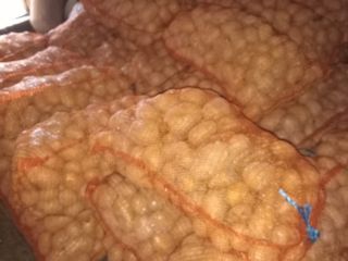 I am selling potatoes of the Carrera variety