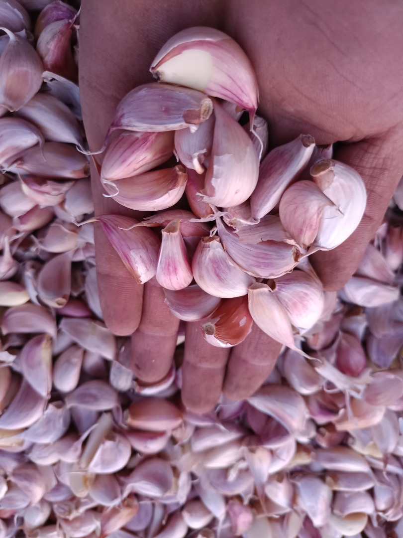 I will sell freshly chopped garlic in cloves qualified in Spain