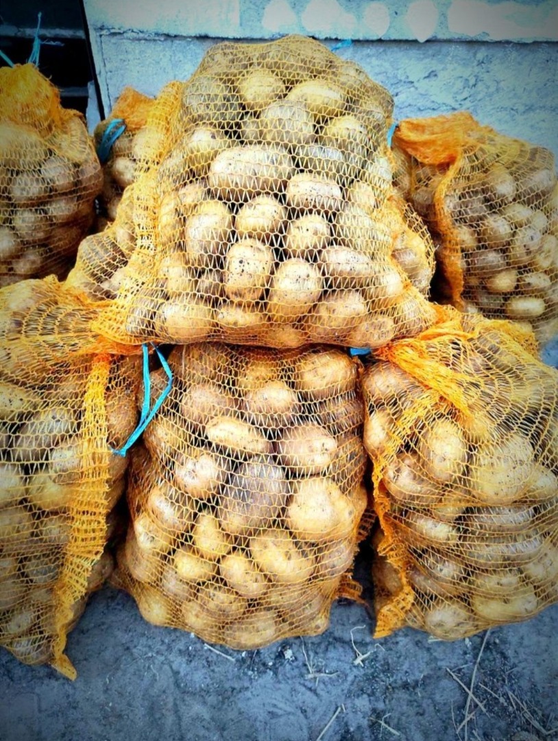 I will sell sorted Denar potatoes packed in 15kg bags price 2zł/kg From 100kg price 1.80zł/kg Potatoes from own cultivation without artificial fertilizers