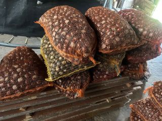 I will sell 300kg of chestnuts packed in 18kg