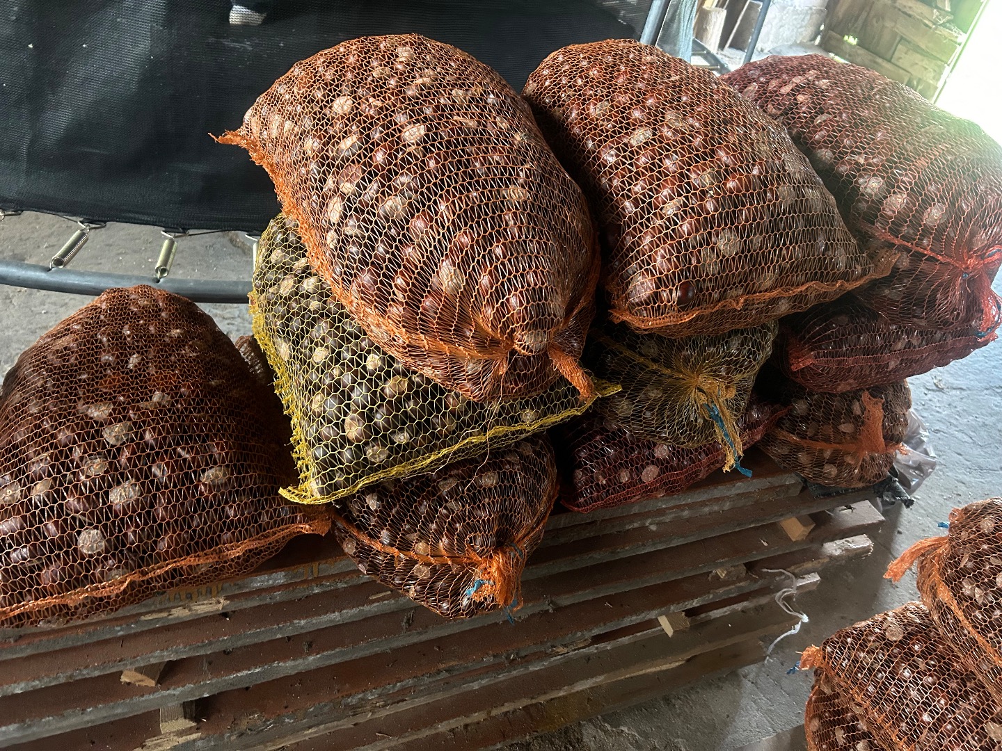 I will sell 300kg of chestnuts packed in 18kg bags