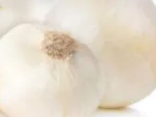 I will buy white, red peeled onions for markets.