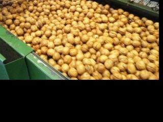 For sale This year's walnuts in shell from Milótai,