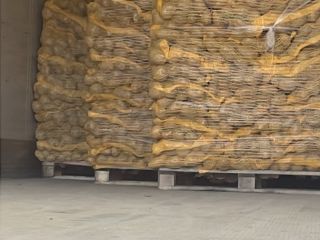 I buy potatoes, onions and carrots in large quantities