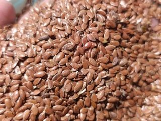 I'm selling brown flax from Russia for 2,360 PLN/t