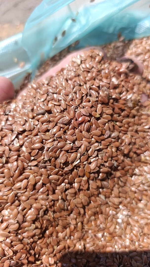 I'm selling brown flax from Russia for 2,360 PLN/t net, under DAP Malaszewicze terms