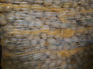 Magnolia 5+ edible potatoes, 10kg sewn bag