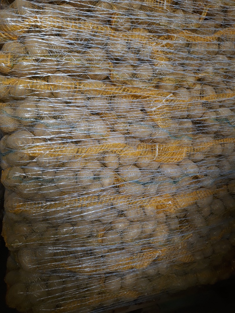 Magnolia 5+ edible potatoes, 10kg sewn bag