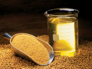 We sell raw, unrefined soybean oil. 25t +-10% to