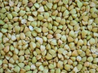Organiczna, bardzo wysokiej jakości łuskana gryka, zbiór 2024. Certyfikat
