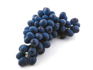 High-Quality “Moldova” Grapes – Fresh Premium Produce from Cold