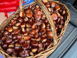 Chestnuts of the country