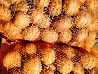 I will sell 3 varieties of edible potatoes -