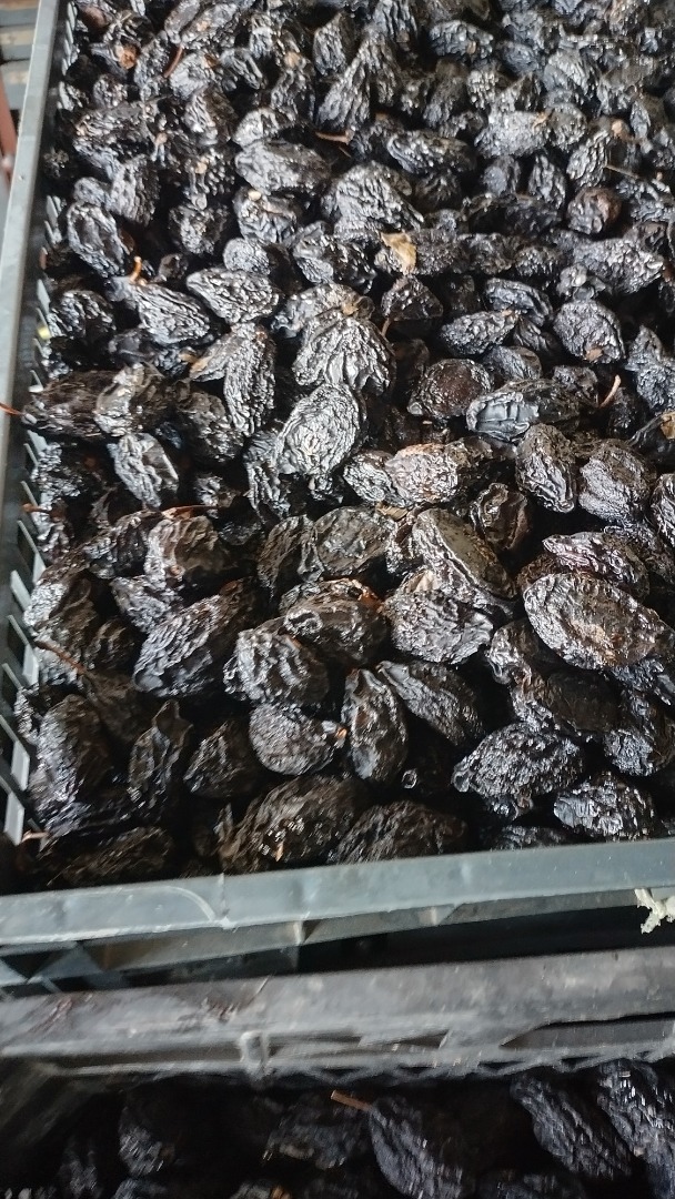 I am selling 10 tons of dried plums and 2 tons of dried pears