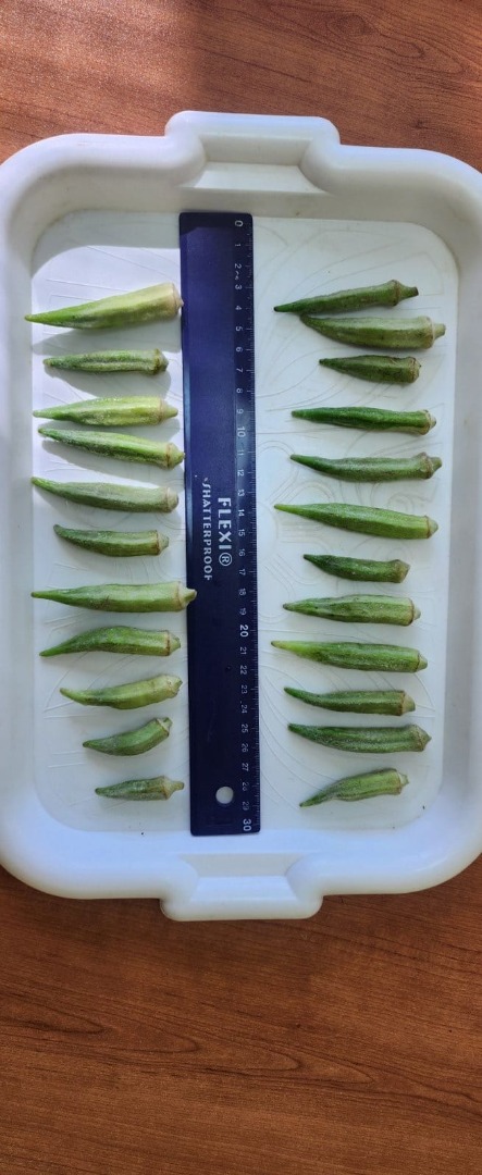 we offer fresh or deep frozen okra ! packaging according to the customer's request, with the logo of your company! our capacity is 20 tons per week of frozen