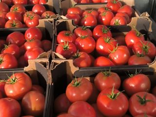 I will establish cooperation with shops/catering companies, wholesalers for