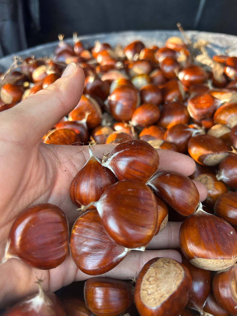 Chestnuts from the Ancares in León, a biosphere reserve, selected from the wall, very sweet and with an exquisite flavour