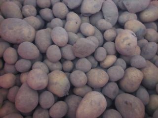 We have for sale feed potatoes. Sorted, dried. Personal