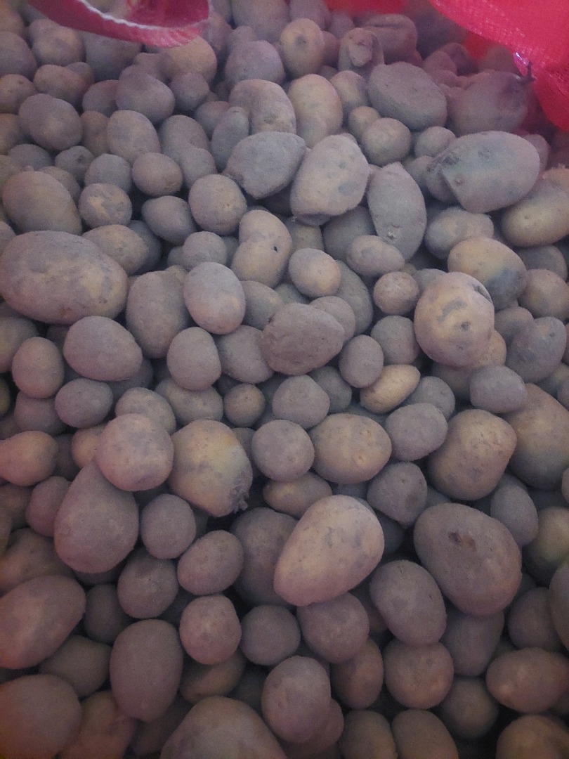 We have for sale feed potatoes
