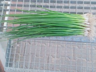 Sale of chives parade by the kilogram visible in