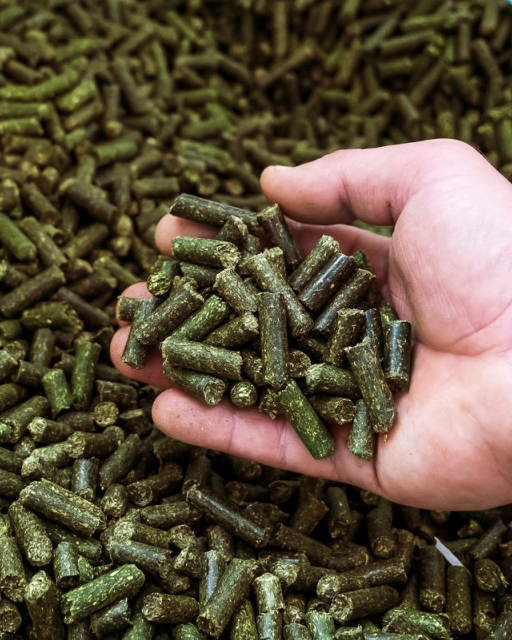 Granulated Alfalfa – High Quality, Available Immediately! We offer high-quality pelleted alfalfa with the following parameters: Moisture: 9.9% Crude protein