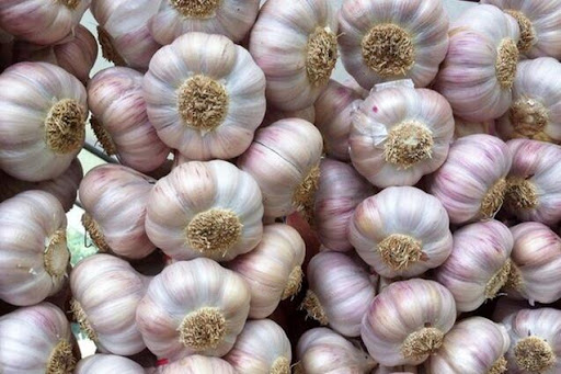 We have 3 types of garlic 1- Purple garlic from Spain 2- Violet garlic 3- White garlic We store all the calibers Packaging: cardboard box 10 or according to