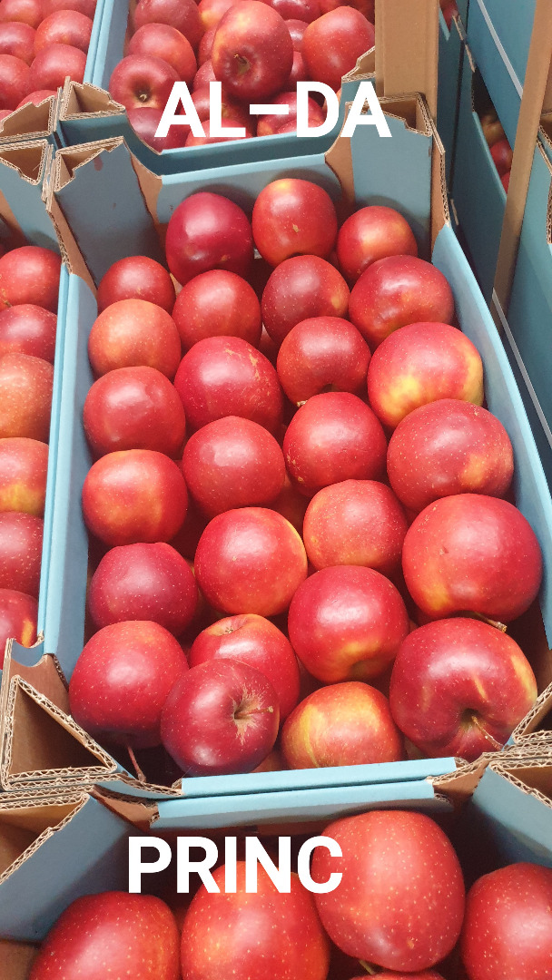The Polish COMPANY AL-DA Sp.J will sell potatoes for export