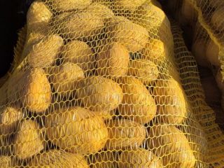 Potatoes, variety Soraya, with GLOBALG.A.P. quality certification. Machine-sorted, fraction