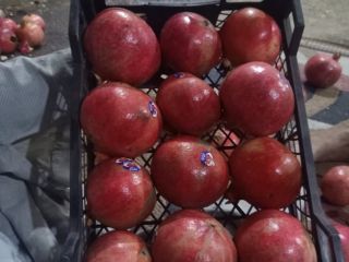 Egyptian pomegranate is a juicy fruit known for its