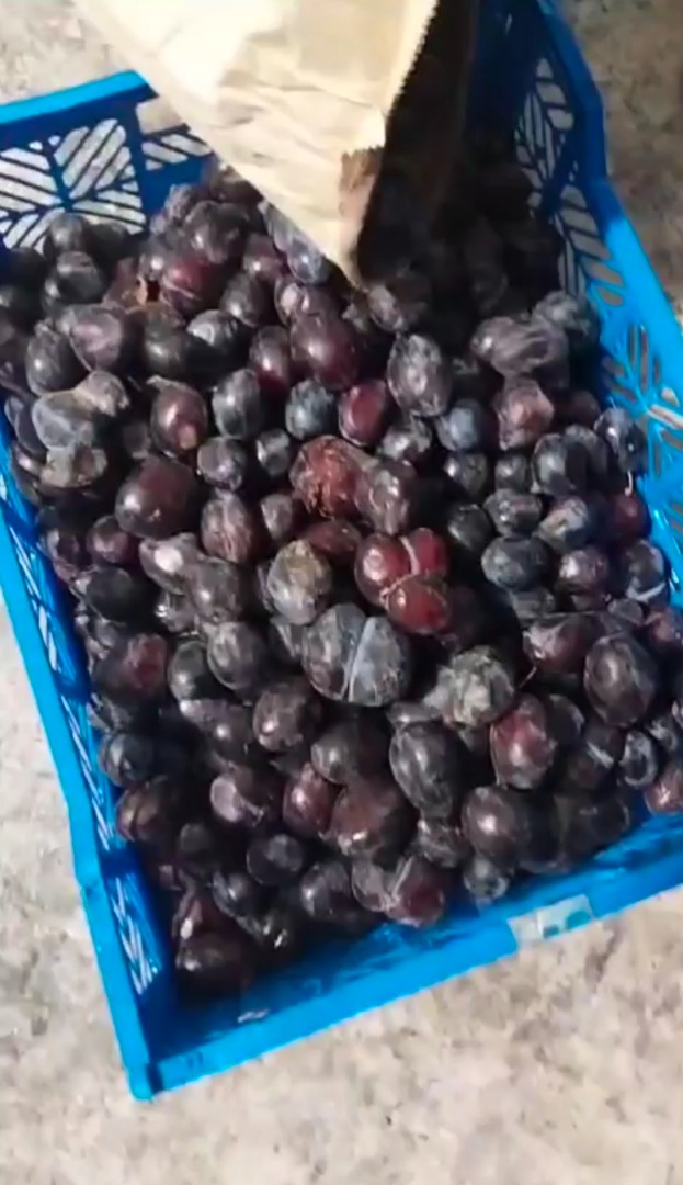 I will sell frozen plums in 30 kg bags