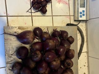 I am selling beetroot in 33334 Gütersloh, size between