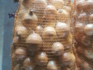 Offering onions of German origin in containers of 1-25kg