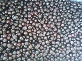 I am selling forest blueberries. Blueberries are laser cleaned..