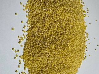 Now I would like to offer you millet or