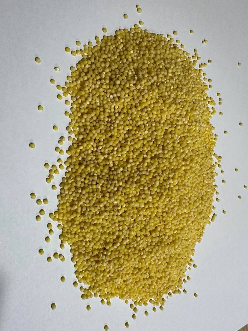 Now I would like to offer you millet or millet (photo added) of high quality without pesticides, without GMO