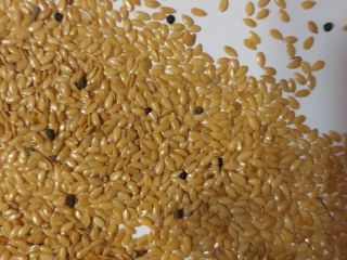 Golden flax. Purity 96%. 160 tons.
