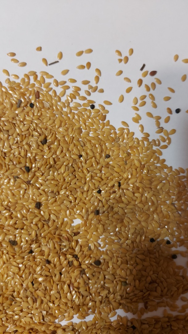 Golden flax