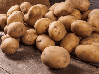 Potato Purchase We are looking for suppliers of yellow