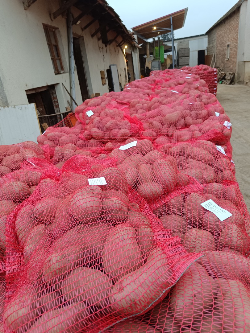 We have 500 tons of potatoes