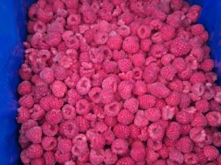 Frozen raspberry 80/20