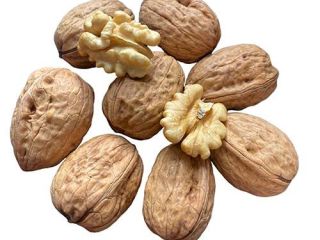 We sell Nut kernels Halves of superior quality Quarters
