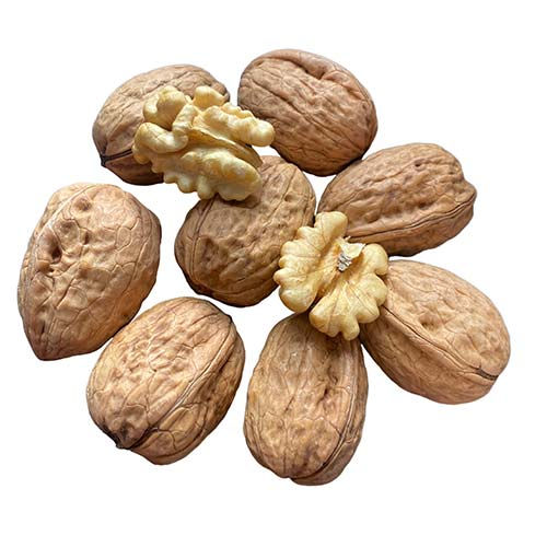We sell Nut kernels Halves of superior quality Quarters Kernel flour Shelled sunflower seeds confetary