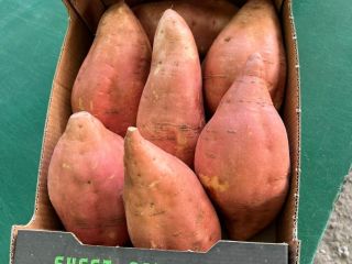Hello, for sale sweet potatoes from Reggio Calabria, with